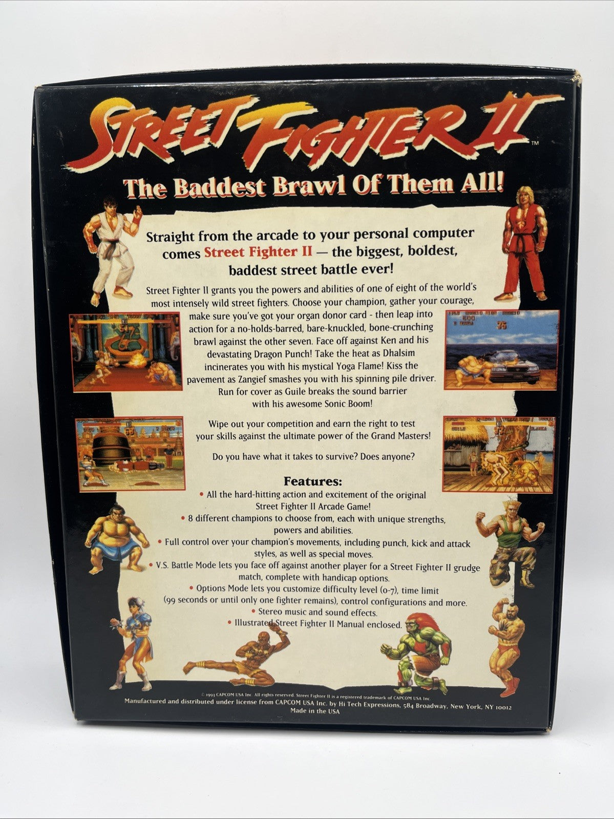 Street Fighter II: The World Warrior (PC, 1993)