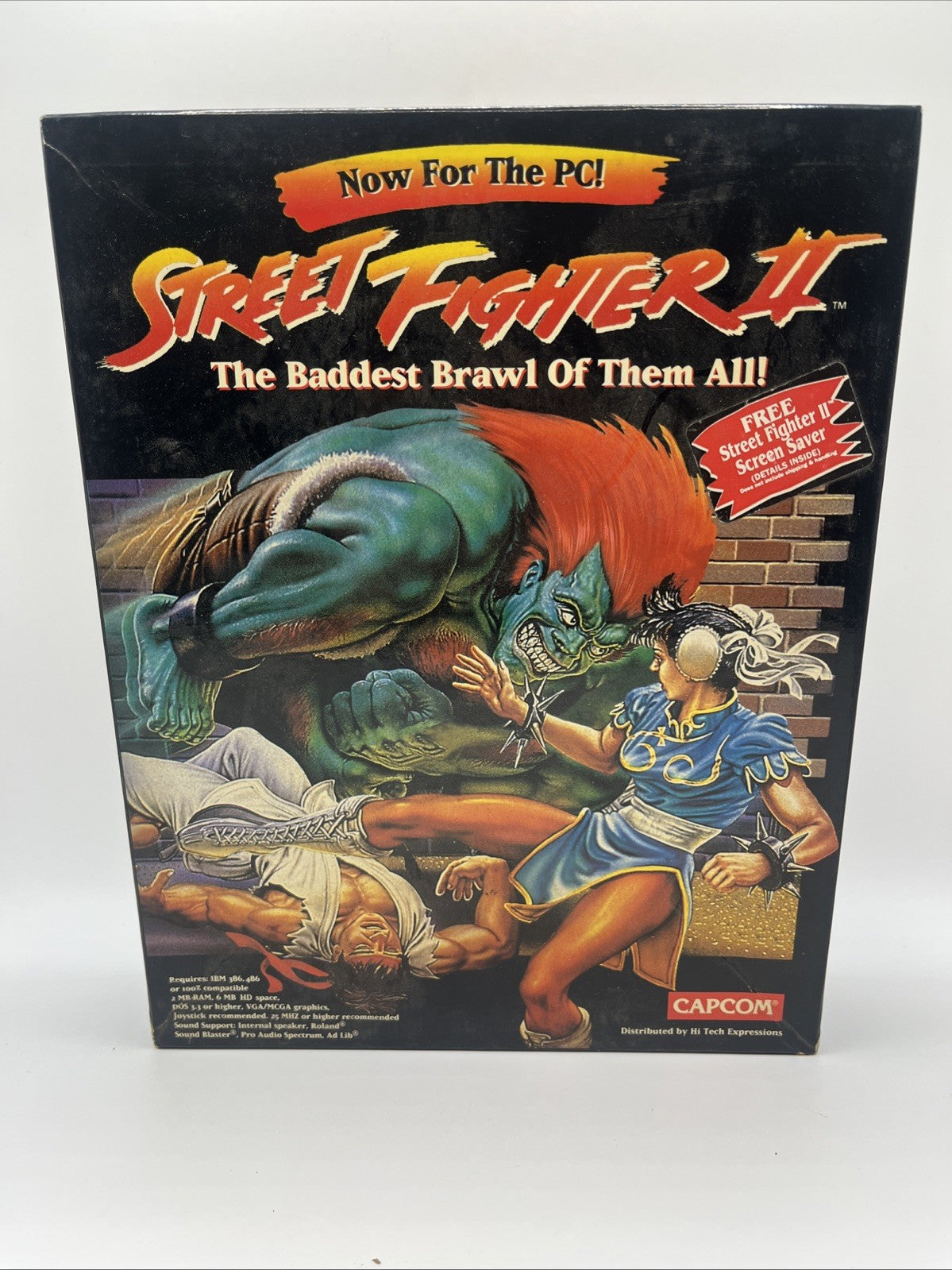 Street Fighter II: The World Warrior (PC, 1993)