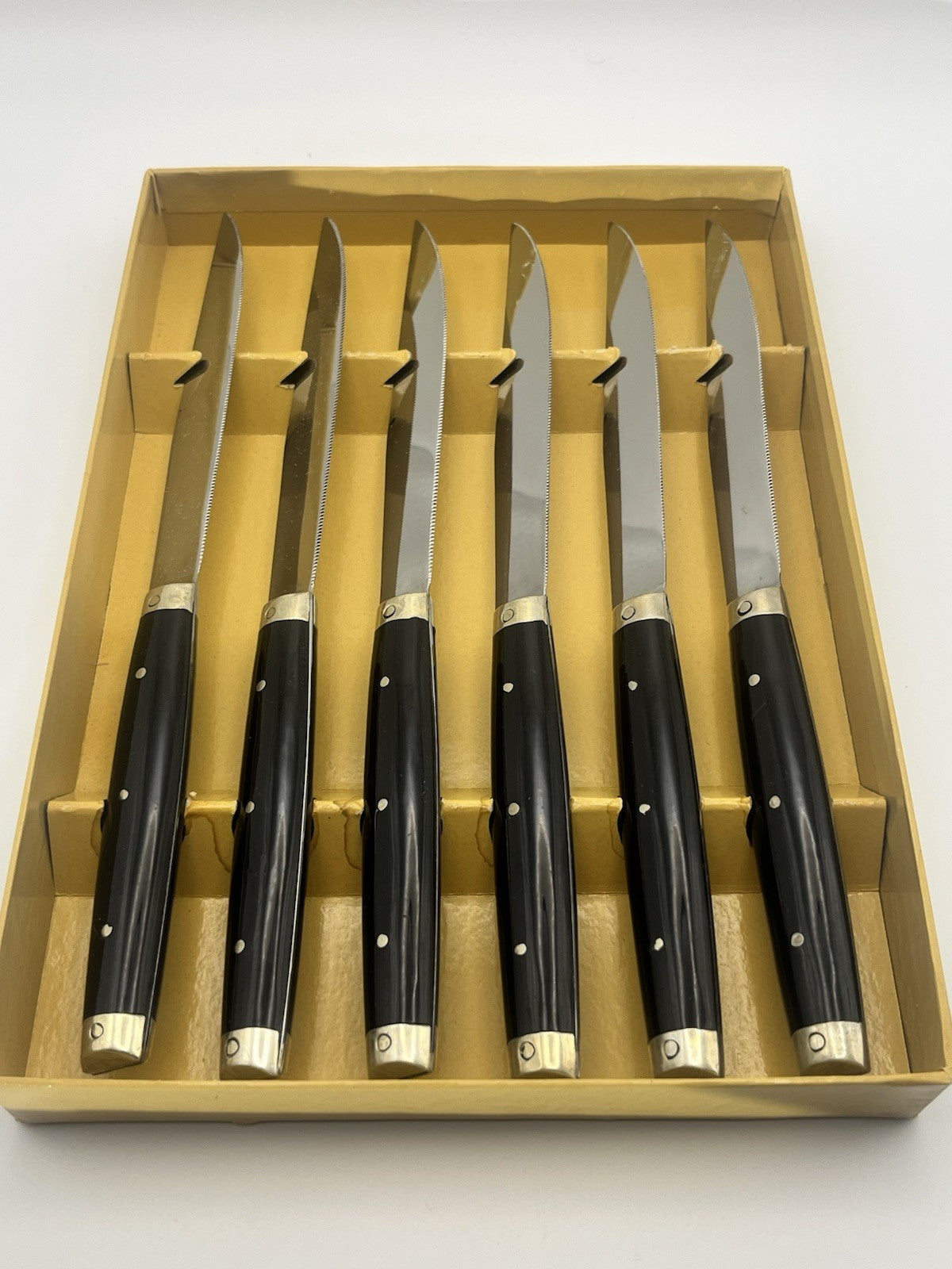 STEAK KNIVES Puy-de-Dôme, France